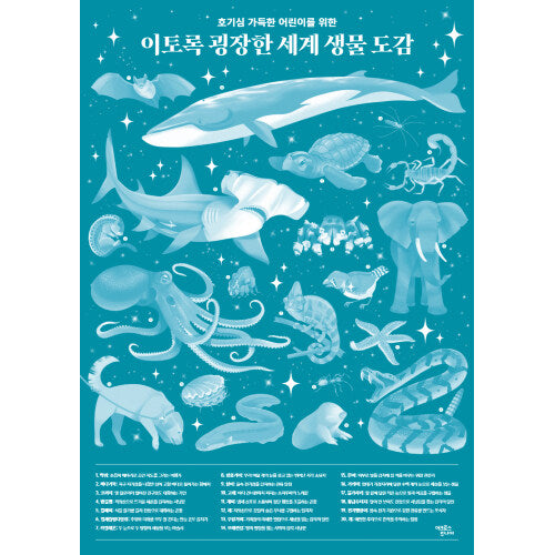 호기심 가득한 어린이를 위한 이토록 굉장한 세계